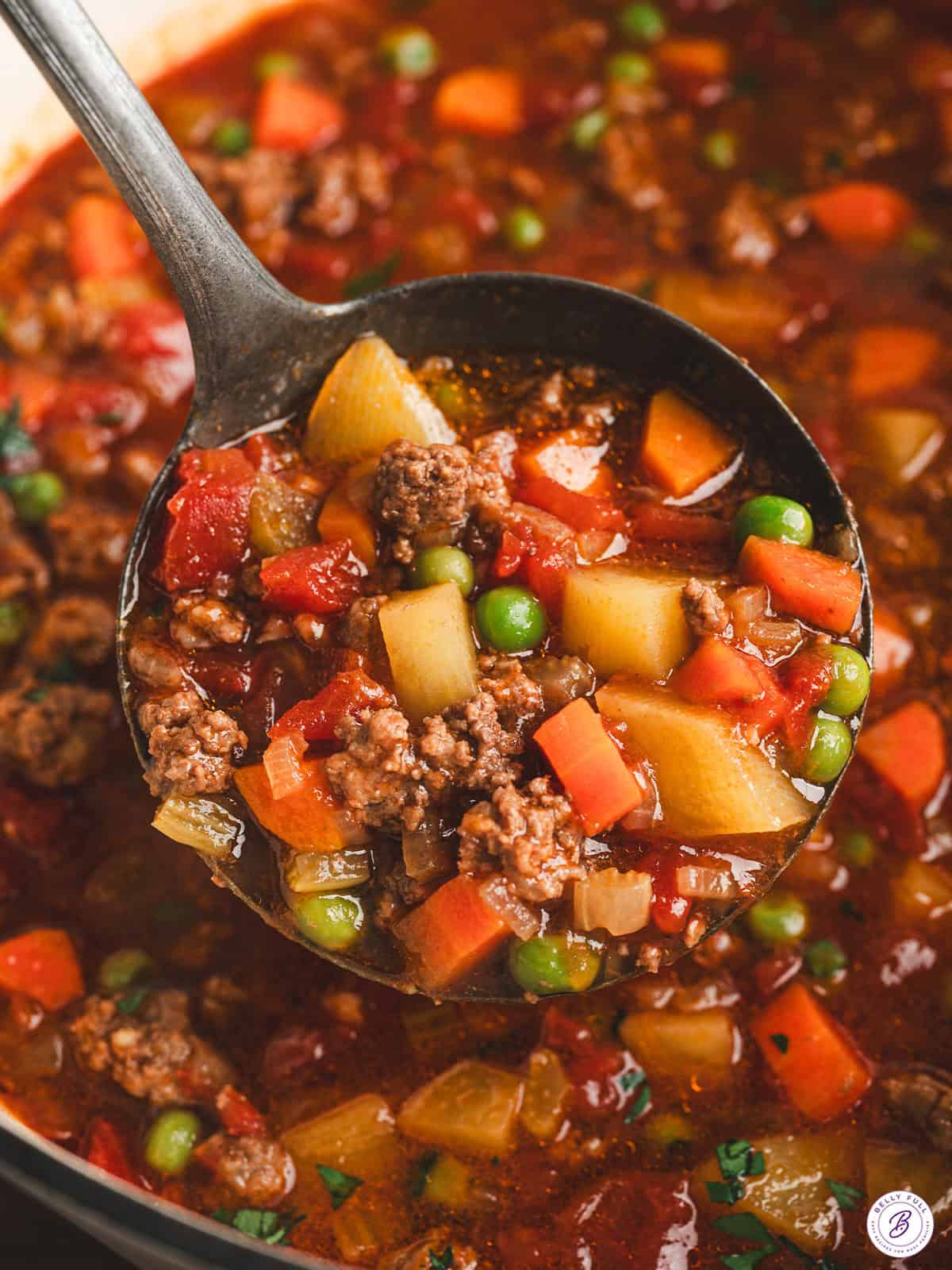 Chuck Wagon Stew