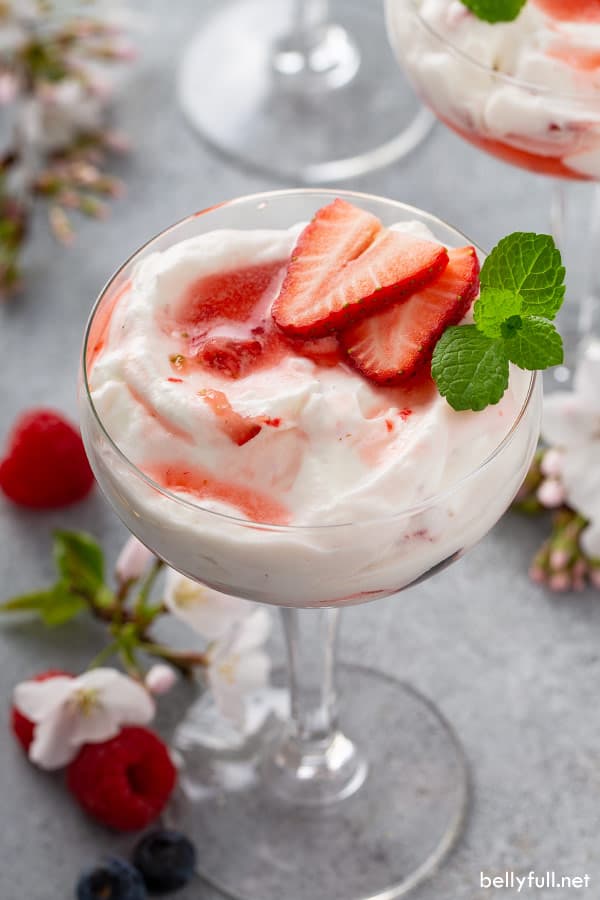 Mixed Berry Fruit Fool