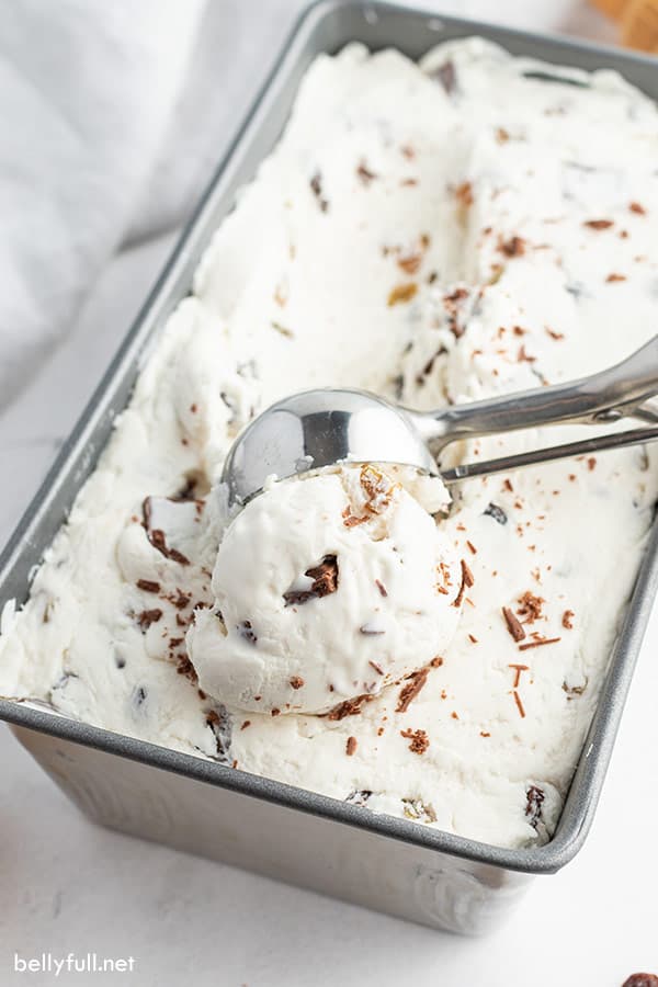 No-Churn Chocolate Rum Raisin Ice Cream