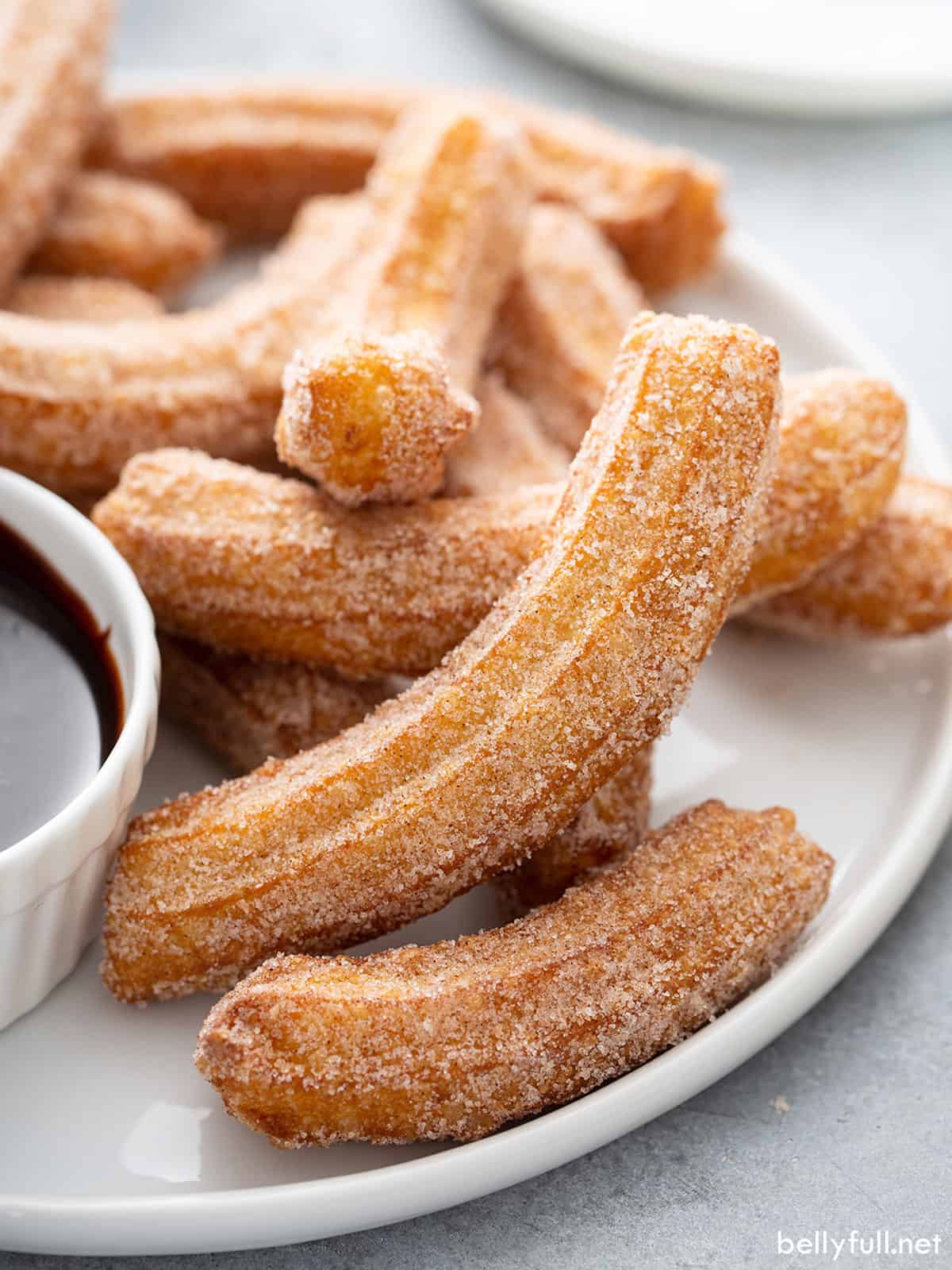 Churros Recipe {Disney Copycat}
