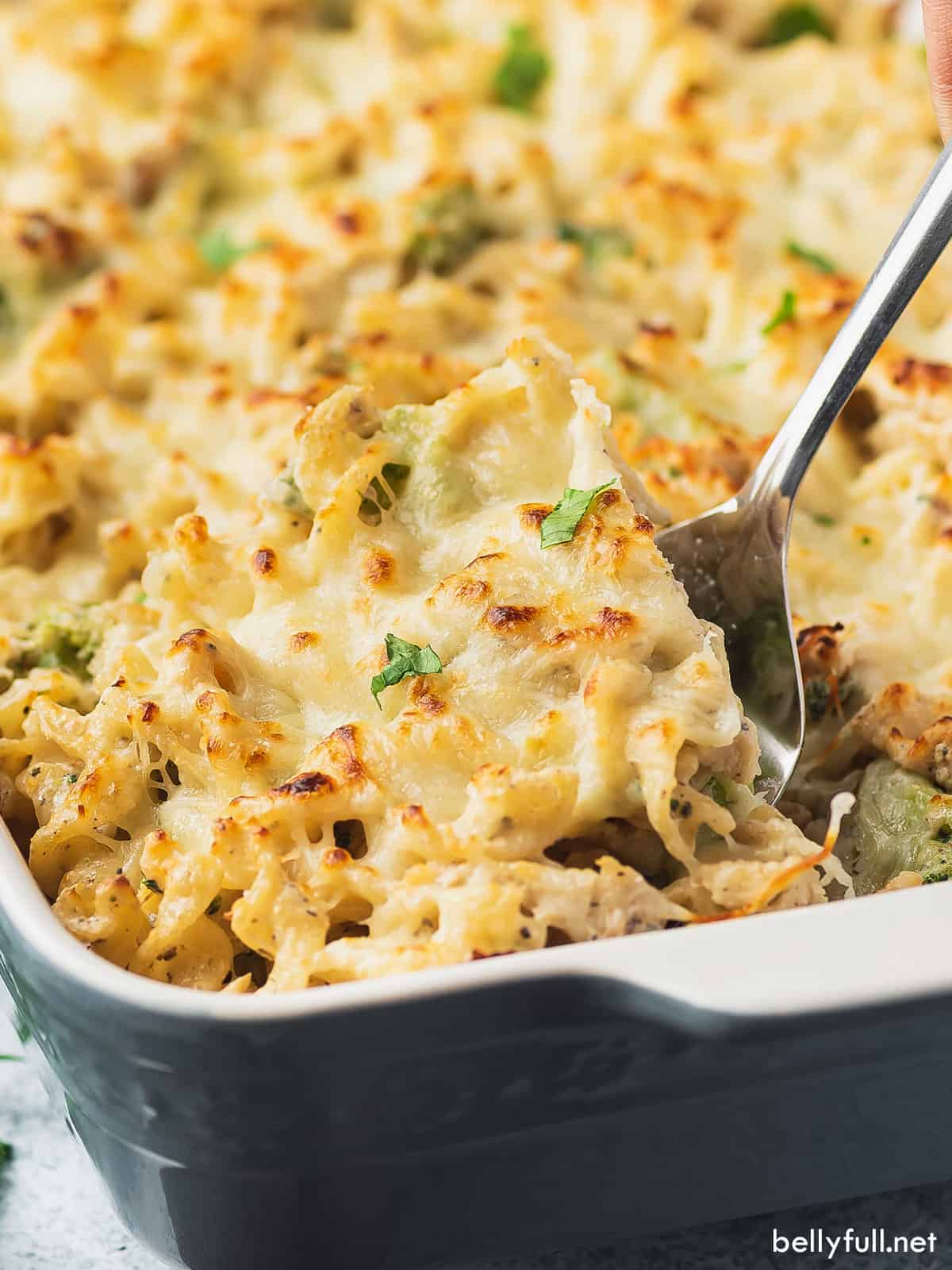 Chicken Alfredo Bake