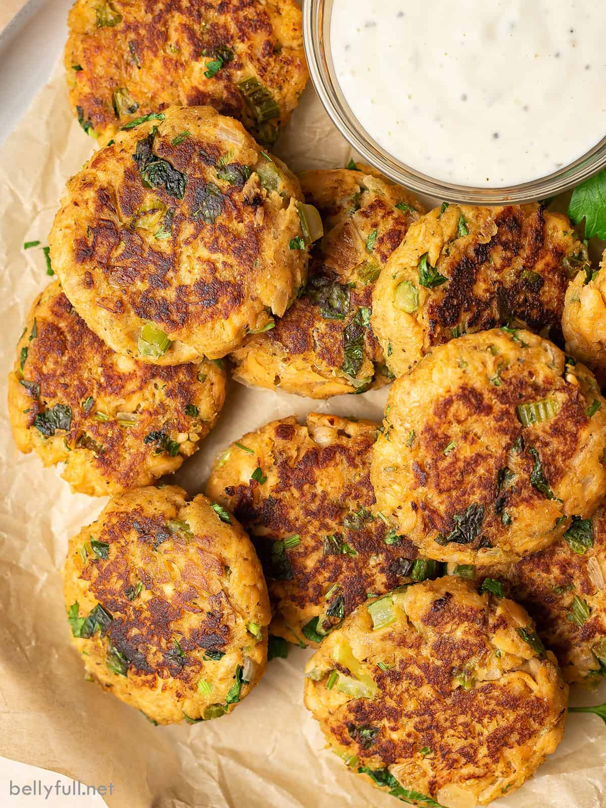 Salmon Patties