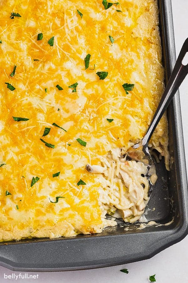 Turkey Tetrazzini