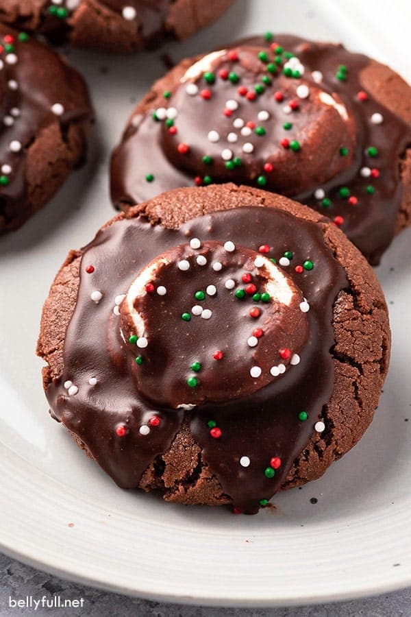 Hot Cocoa Cookies