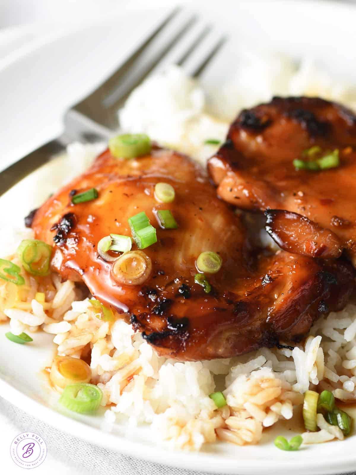 Hawaiian Chicken