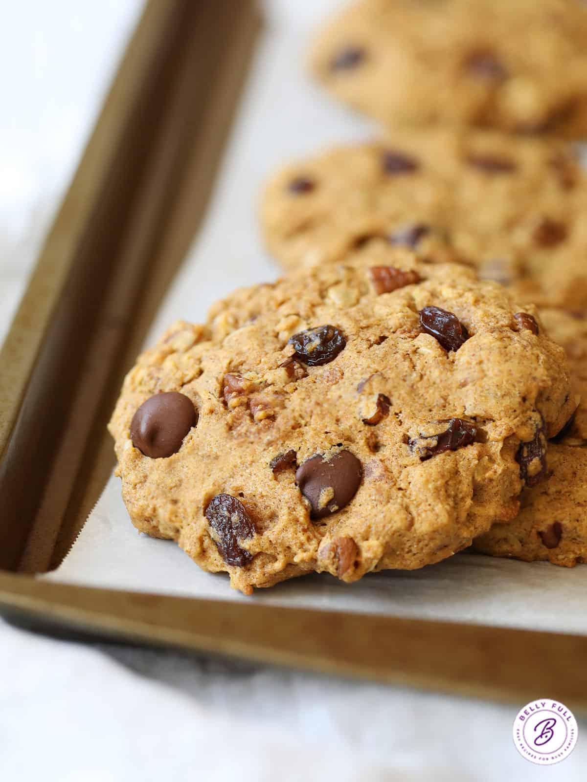 Breakfast Cookies