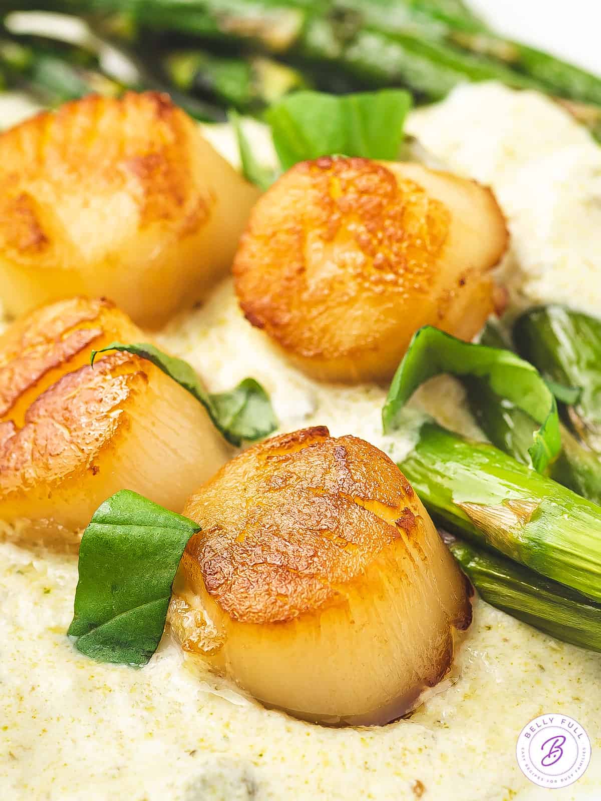 Scallops with Pesto Cream Sauce