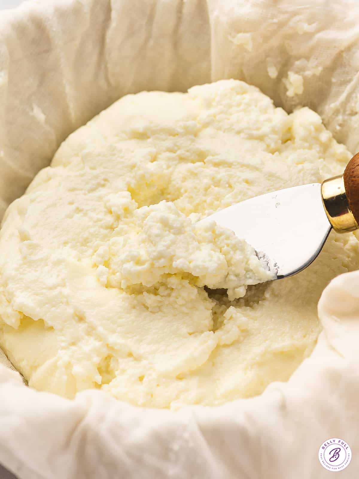 Homemade Ricotta Cheese