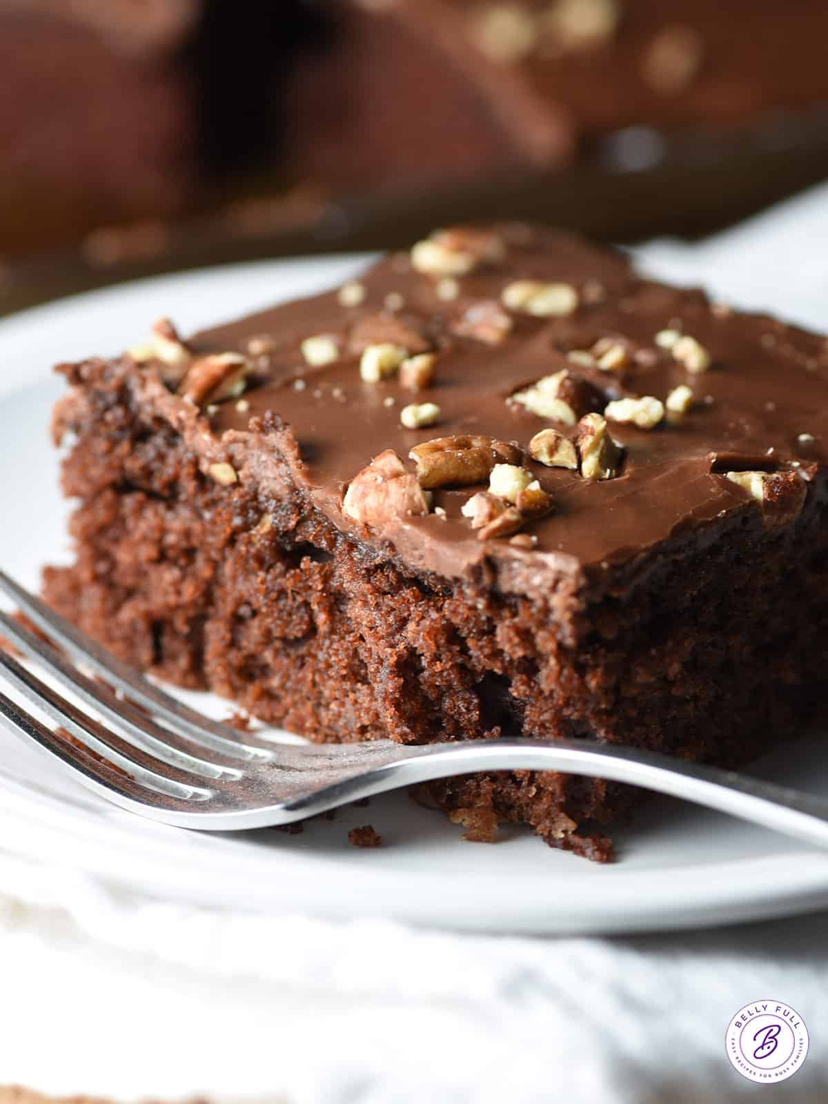 The Best Texas Sheet Cake