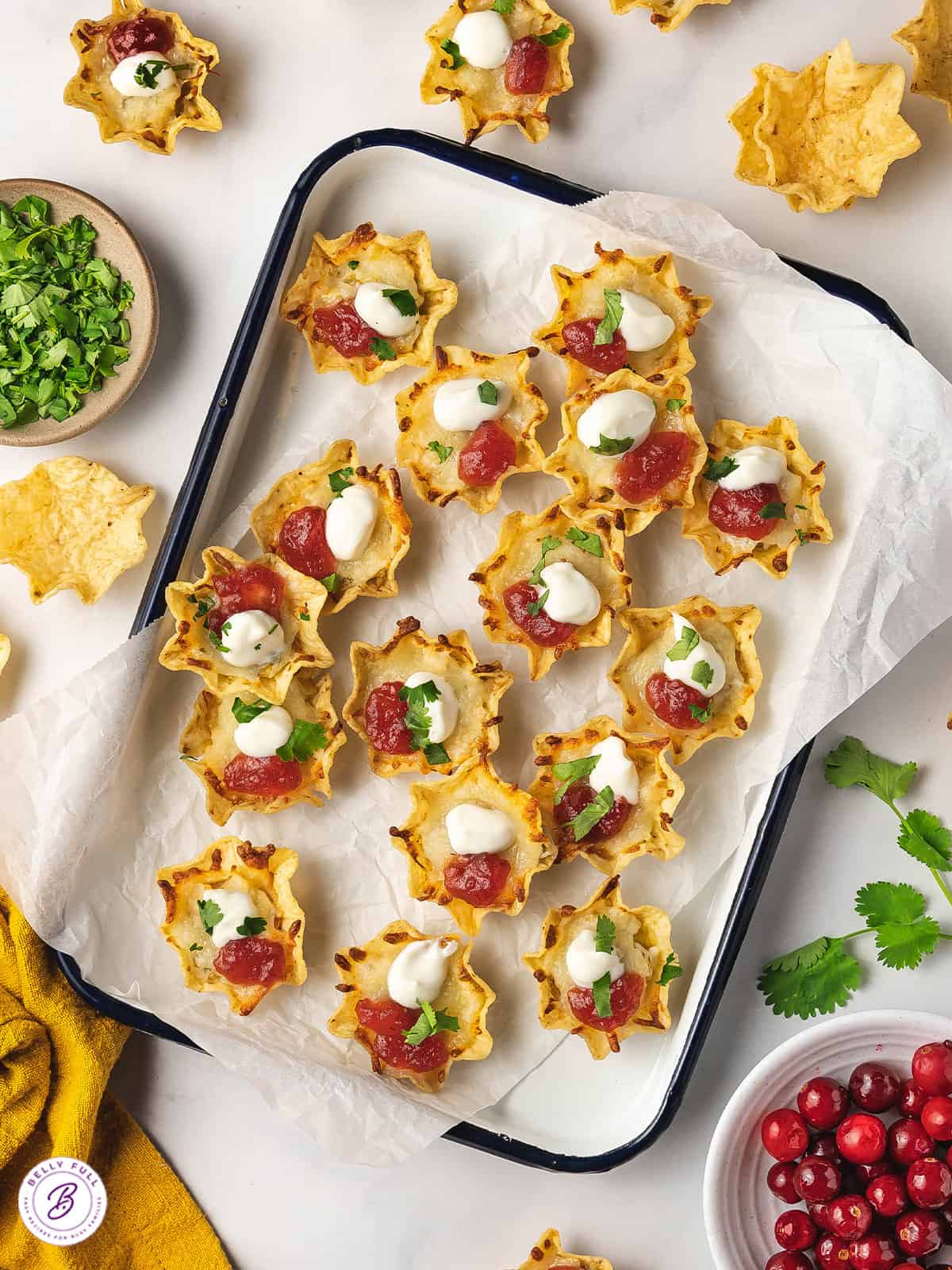 Thanksgiving Nachos