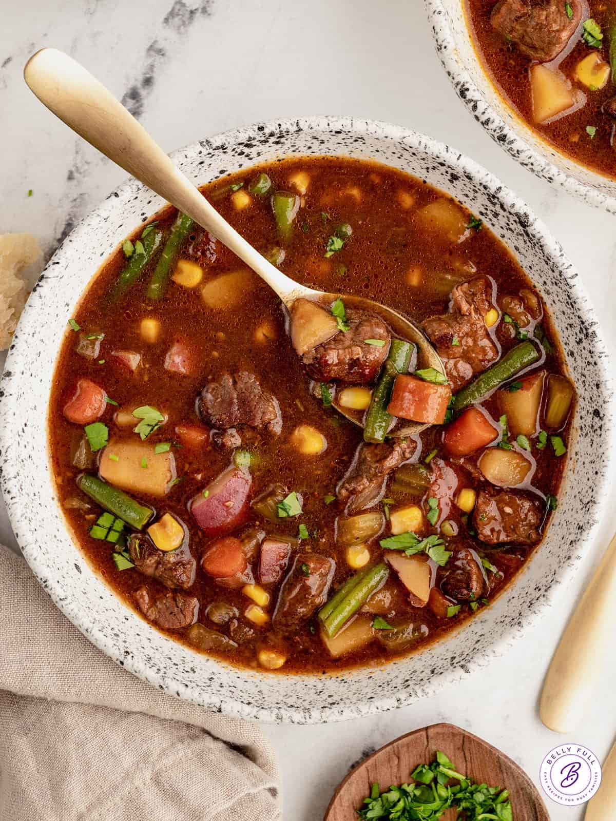 Vegetable Beef Soup