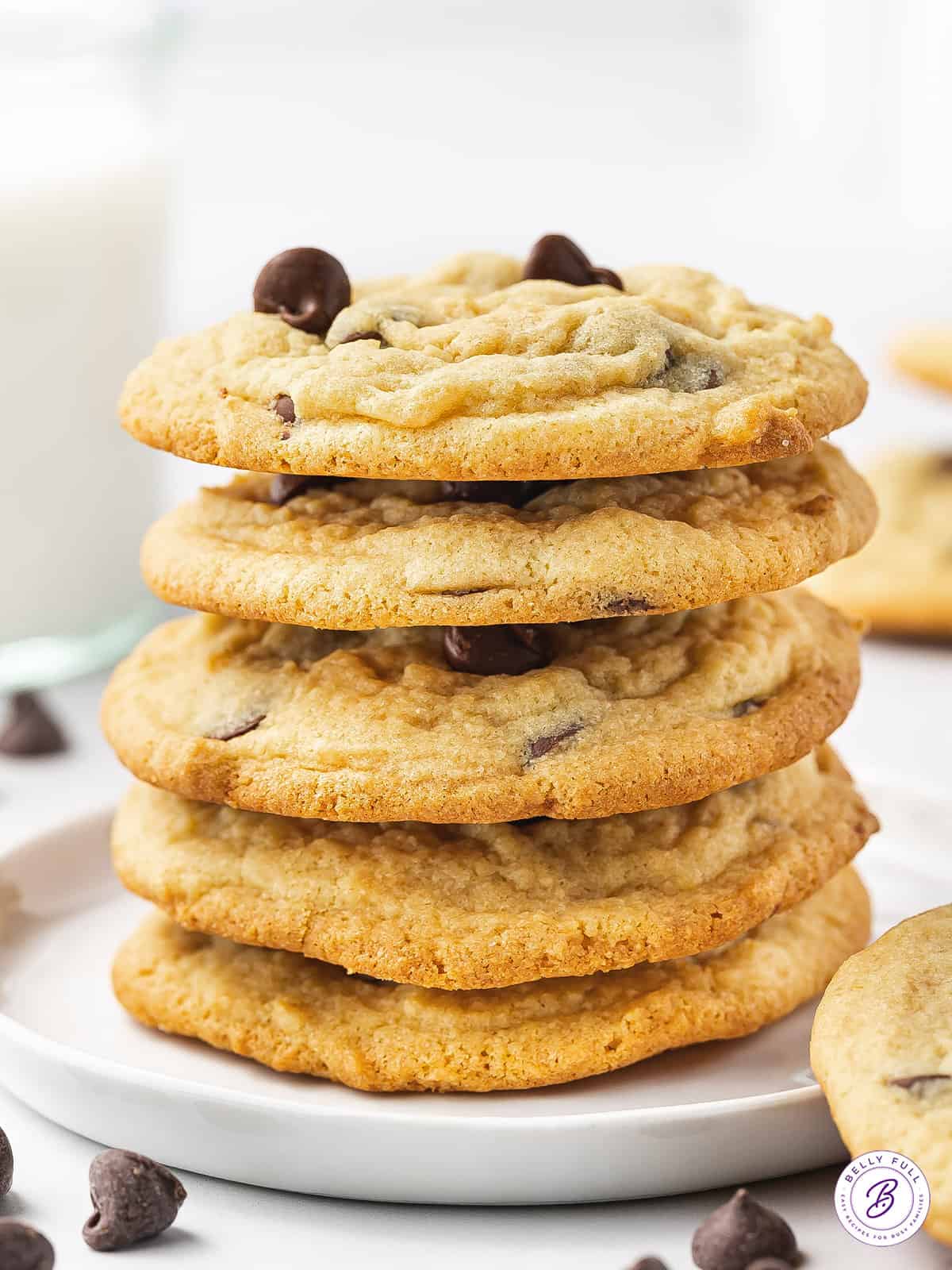 Chocolate Chip Pudding Cookies