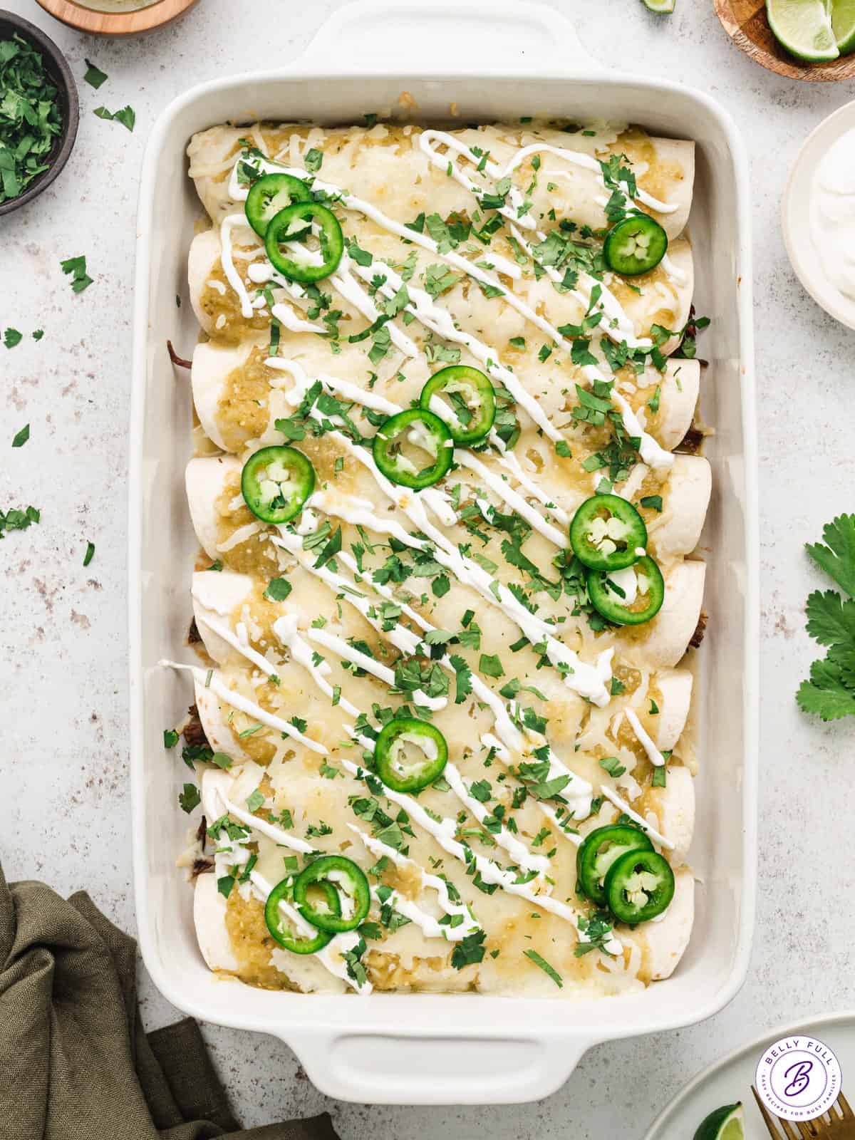 Shredded Beef Enchiladas