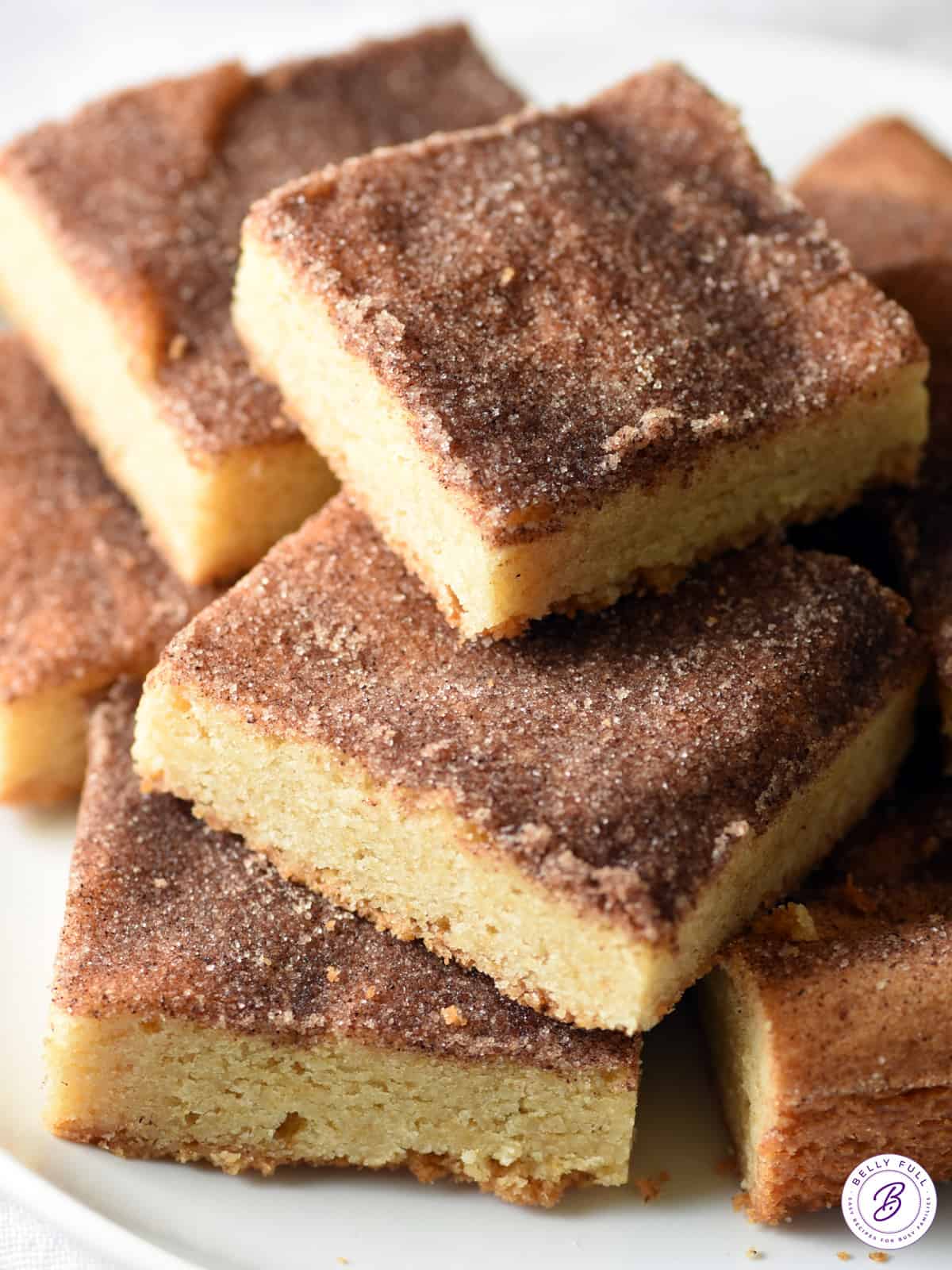 Snickerdoodle Bars
