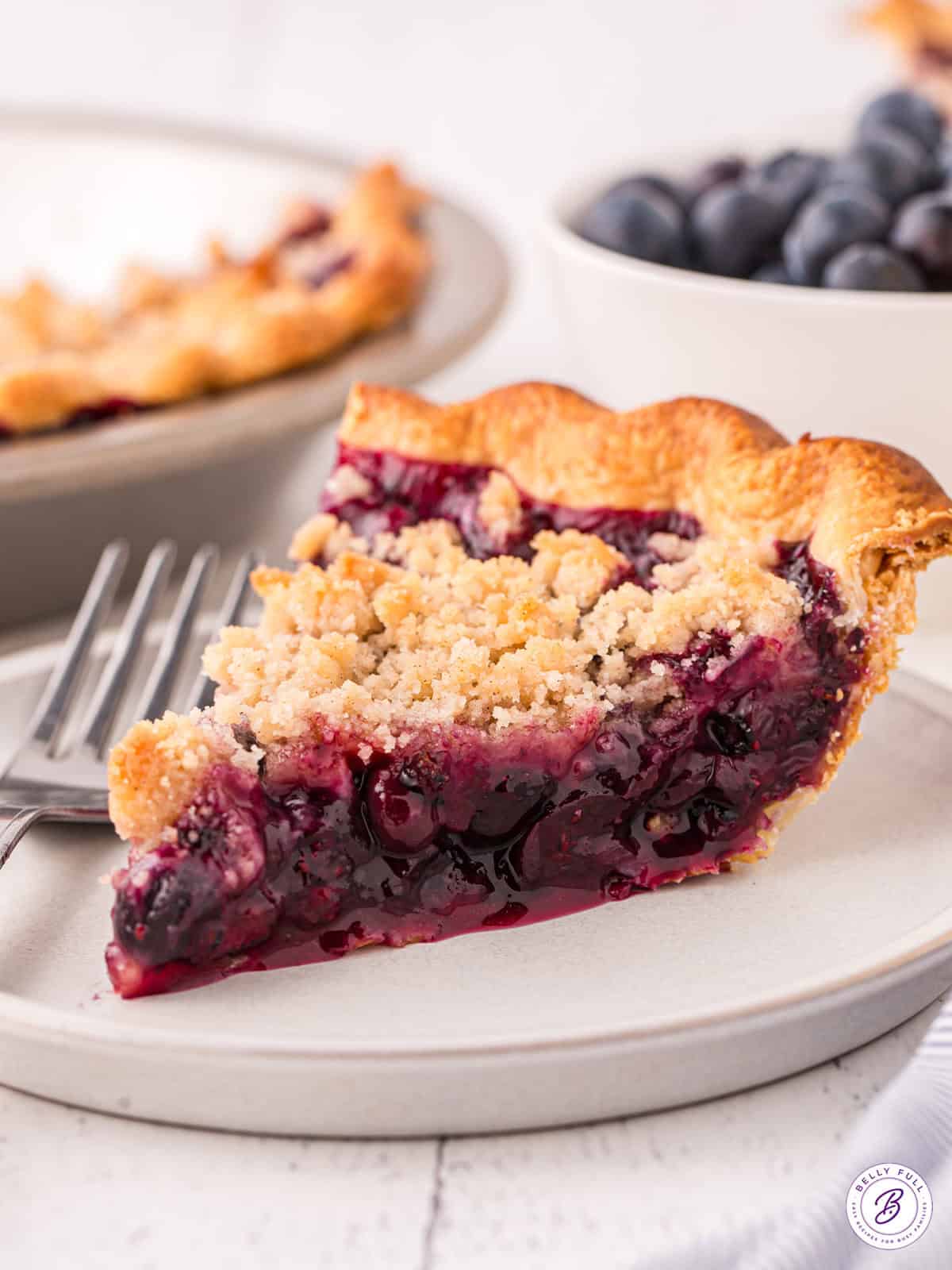 Blueberry Pie