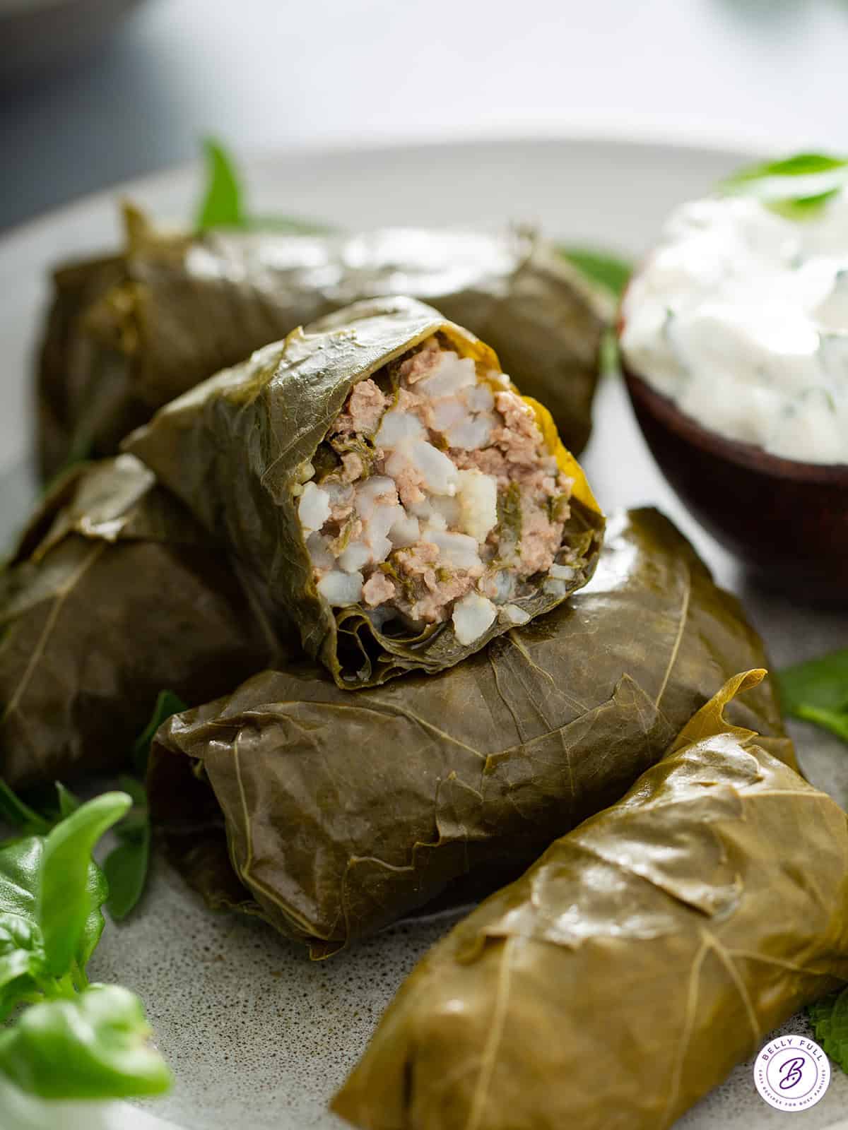 Dolma (Stuffed Grape Leaves)