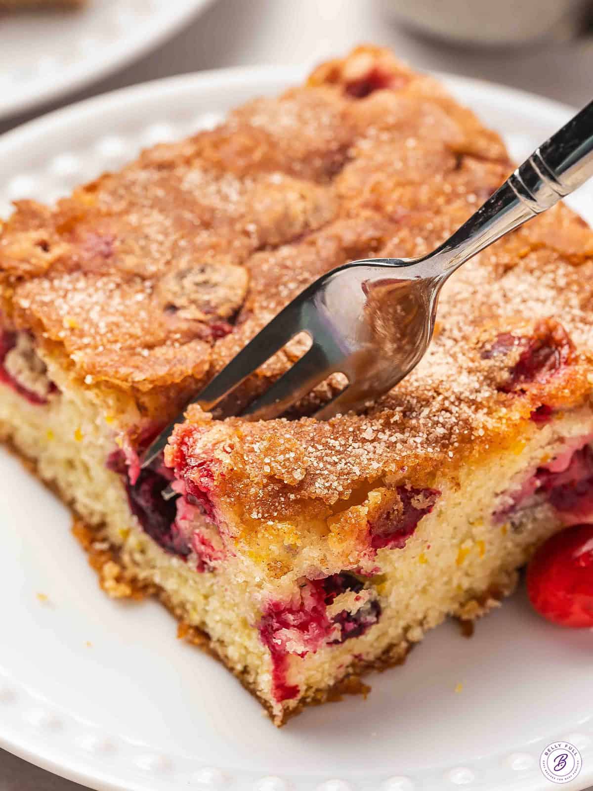 Cranberry Christmas Cake