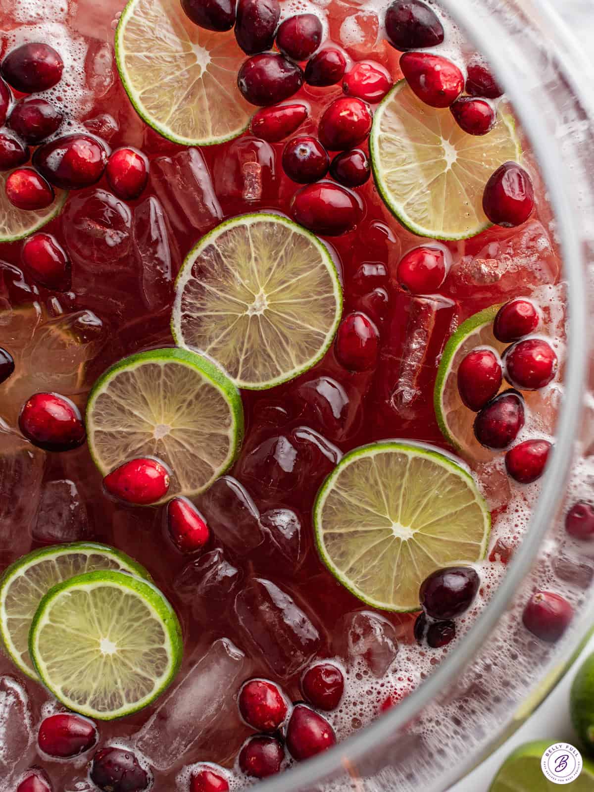 Easy Holiday Punch
