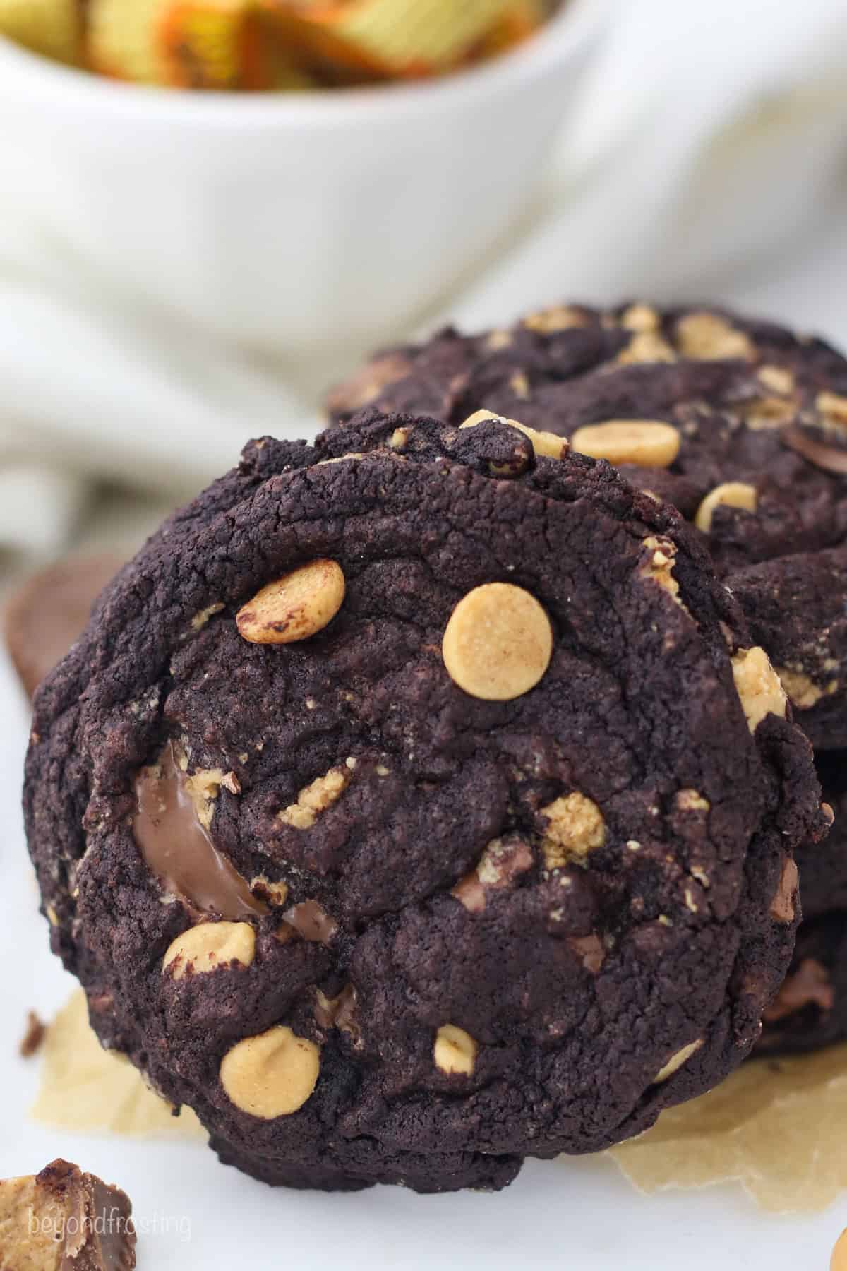 Chocolate Peanut Butter Cookies