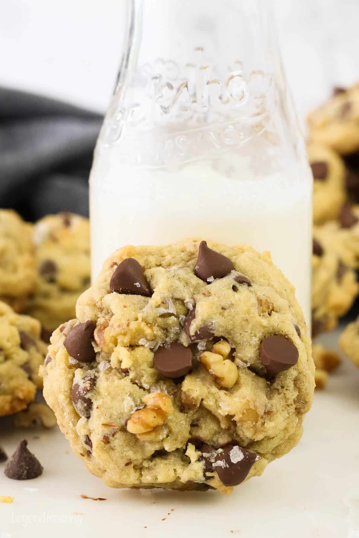 Chocolate Chip Walnut Cookies