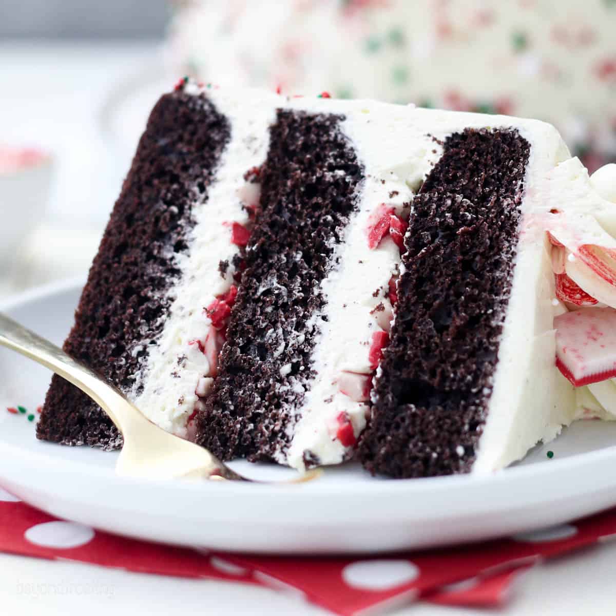 Chocolate Peppermint Cake