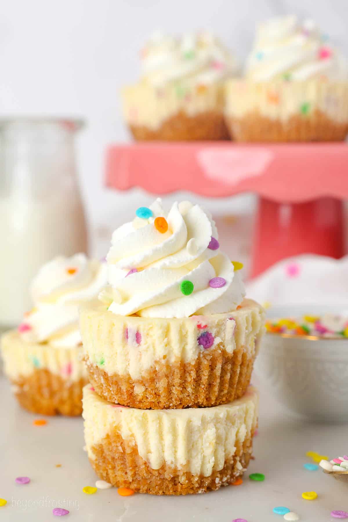 Mini Funfetti Cheesecakes