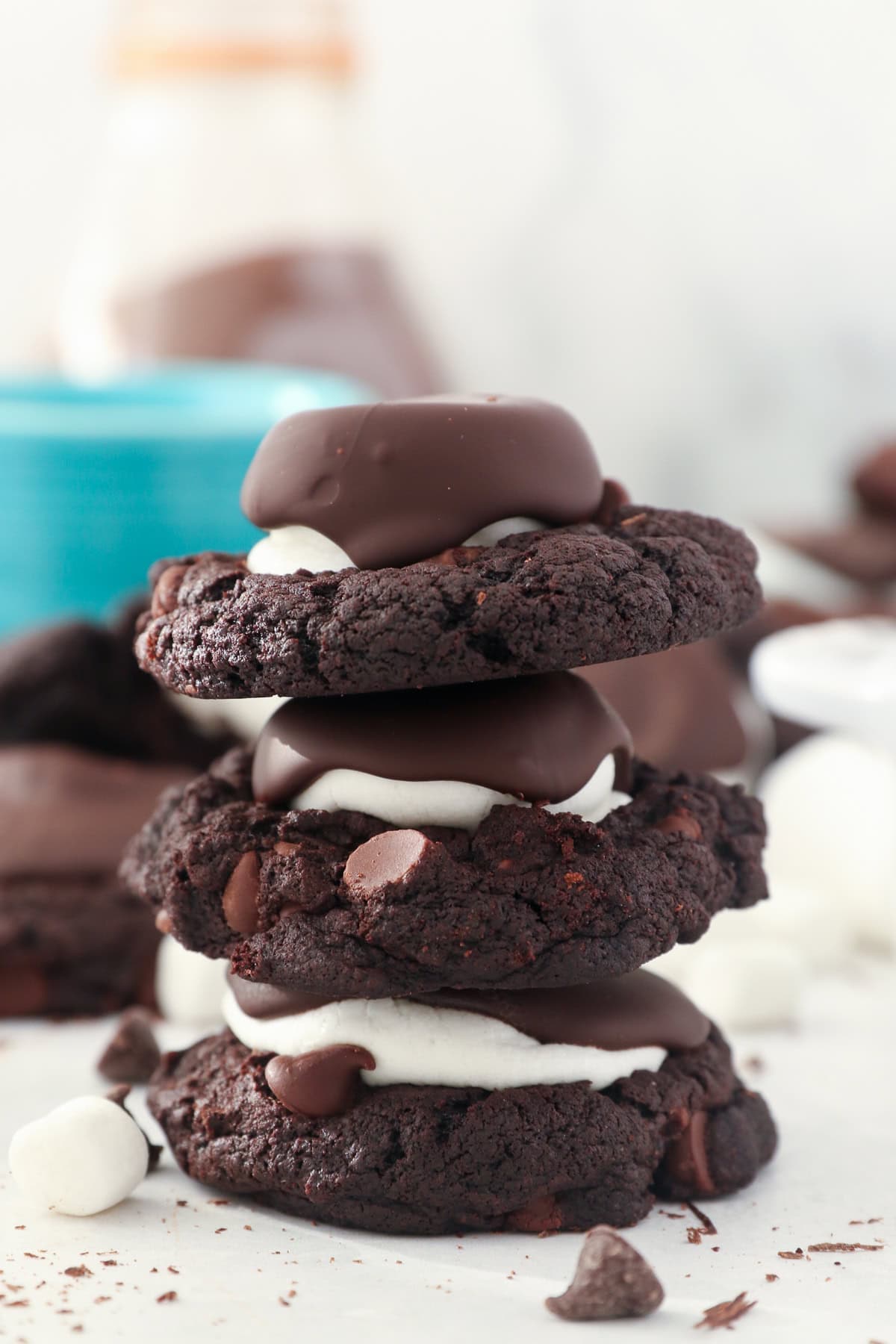 Hot Chocolate Cookies