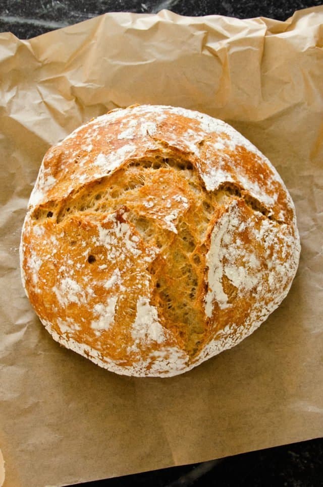 Whole Wheat No Knead Bread