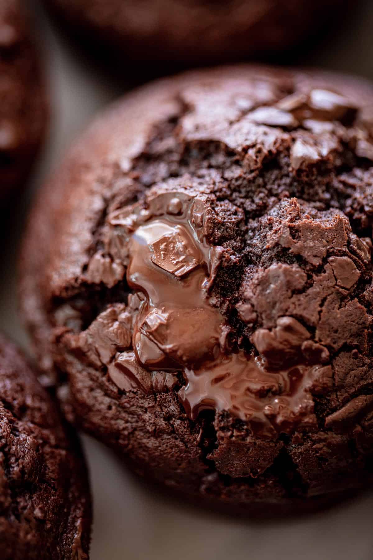 Double Chocolate Chunk Muffins