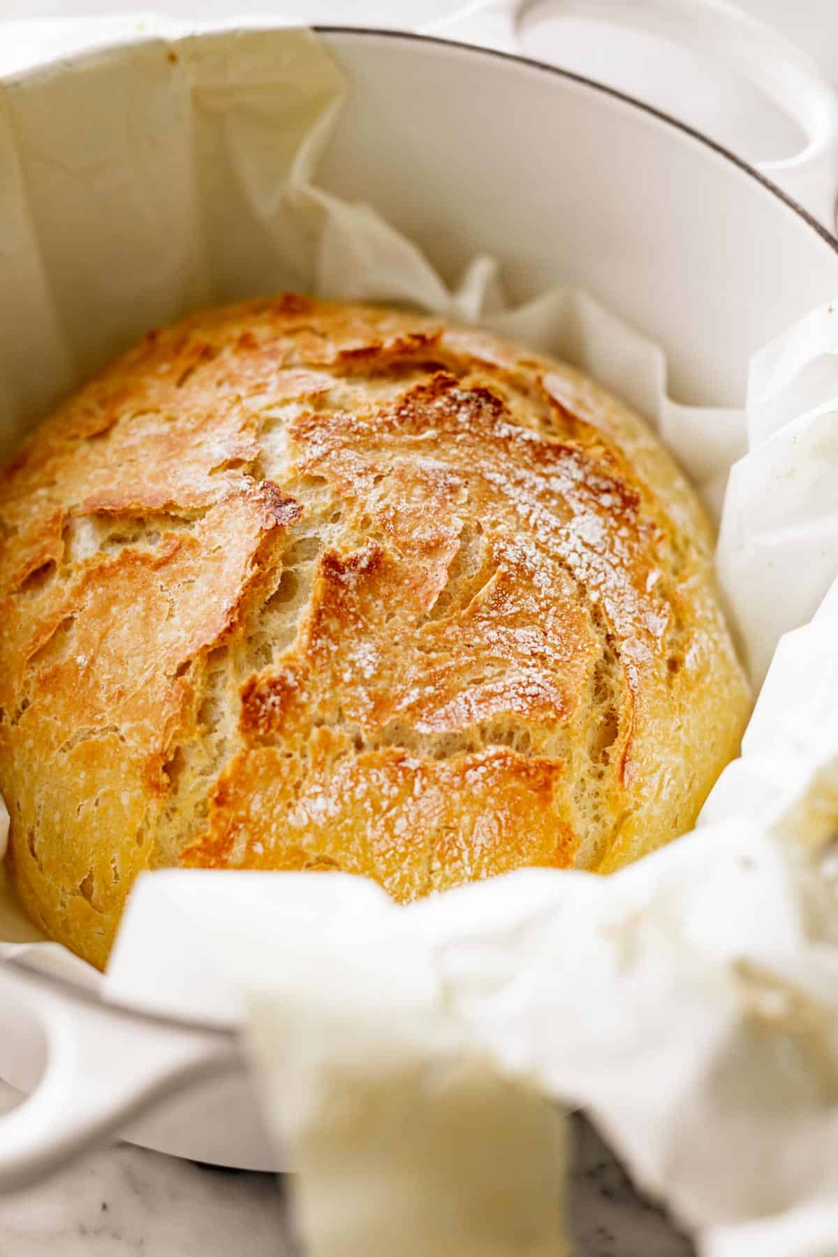 No Knead Artisan Bread