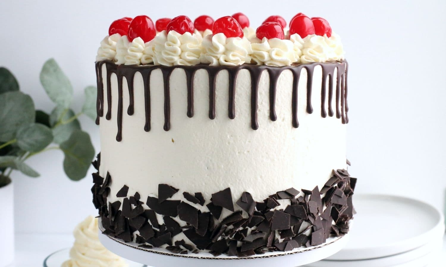Black Forest Cake