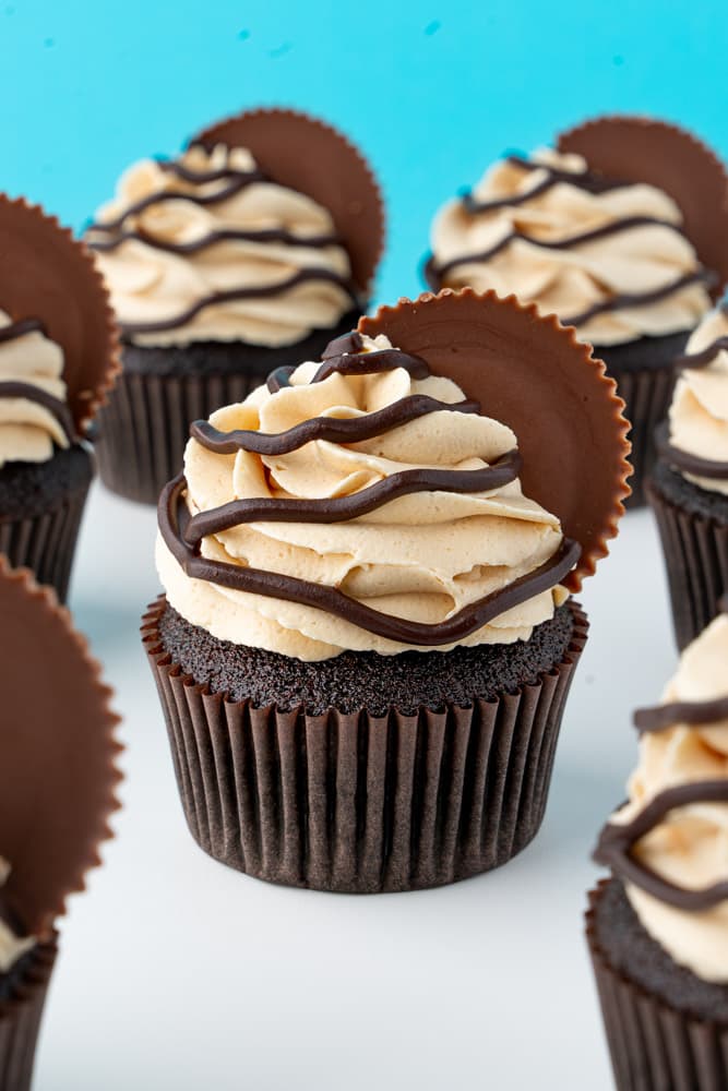 Chocolate Peanut Butter Cupcakes