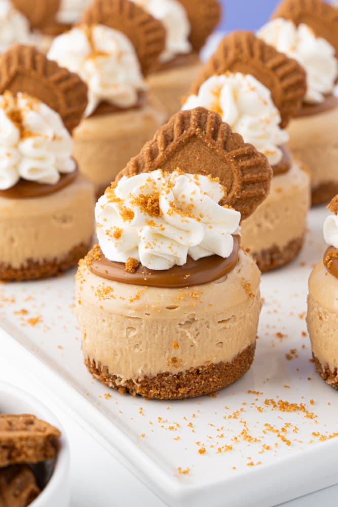 Mini Biscoff Cheesecakes