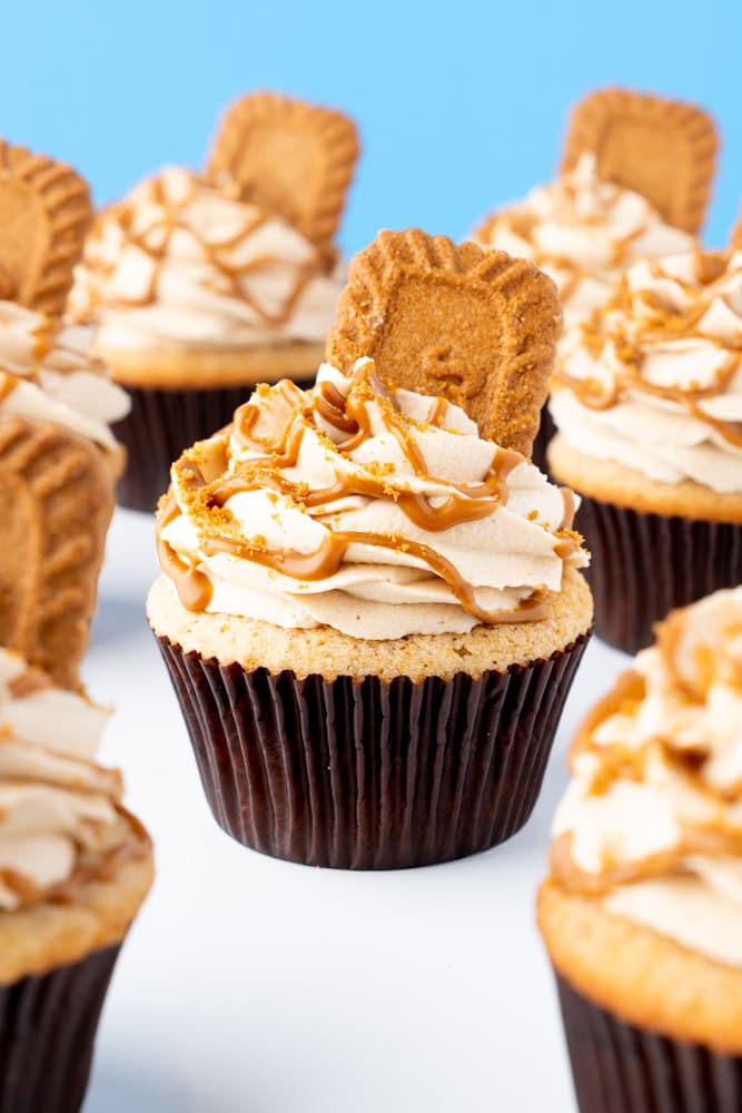 Biscoff Cupcakes