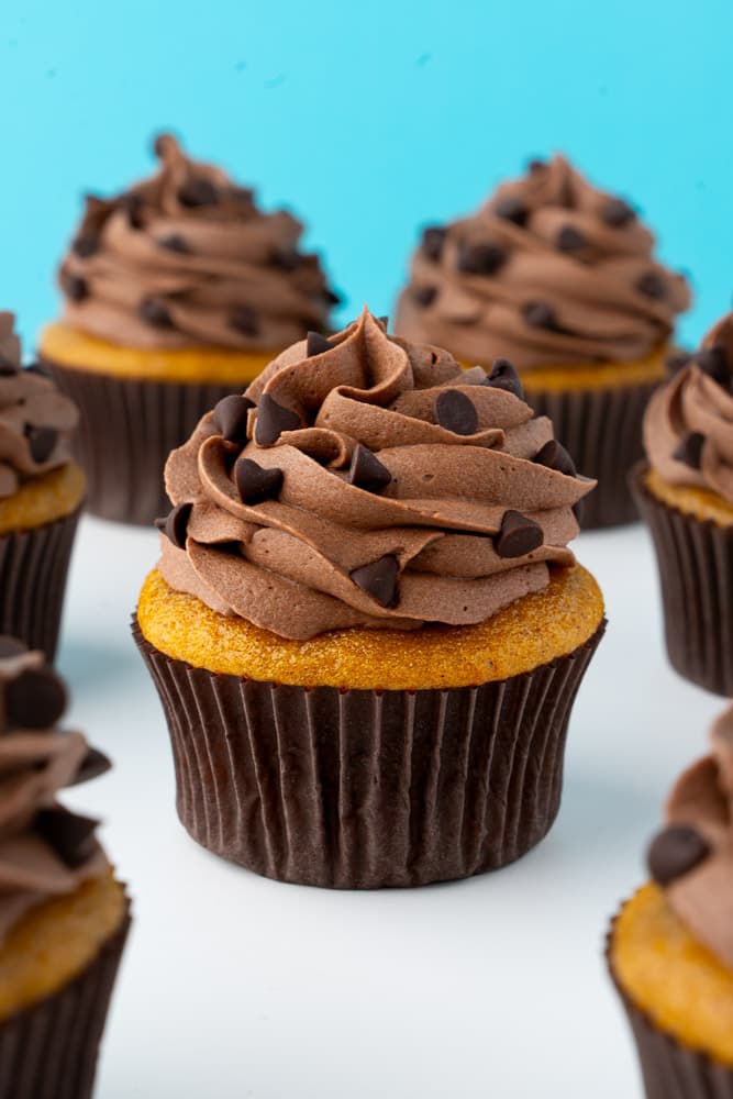 Pumpkin Chocolate Chip Cupcakes