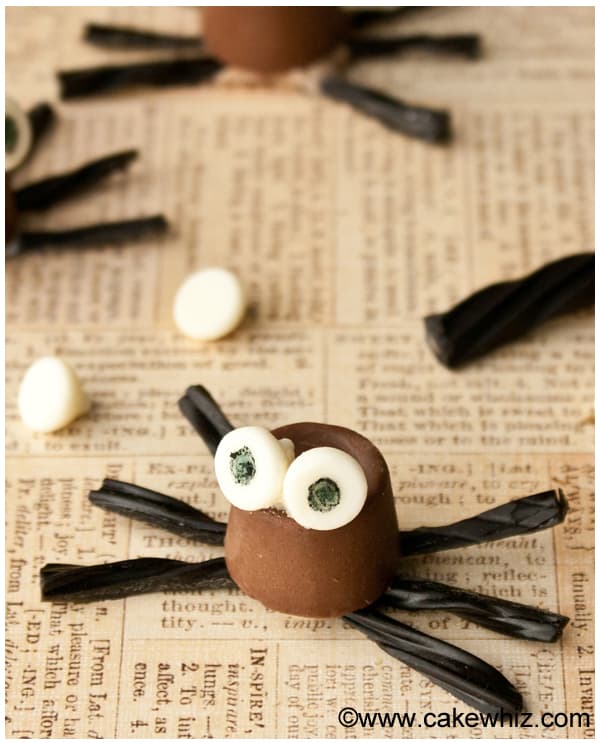 Easy Chocolate Spiders