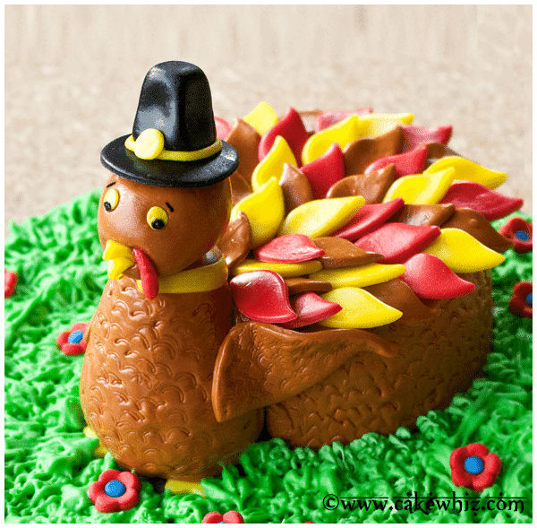 Turkey Cake (Thanksgiving Cake)