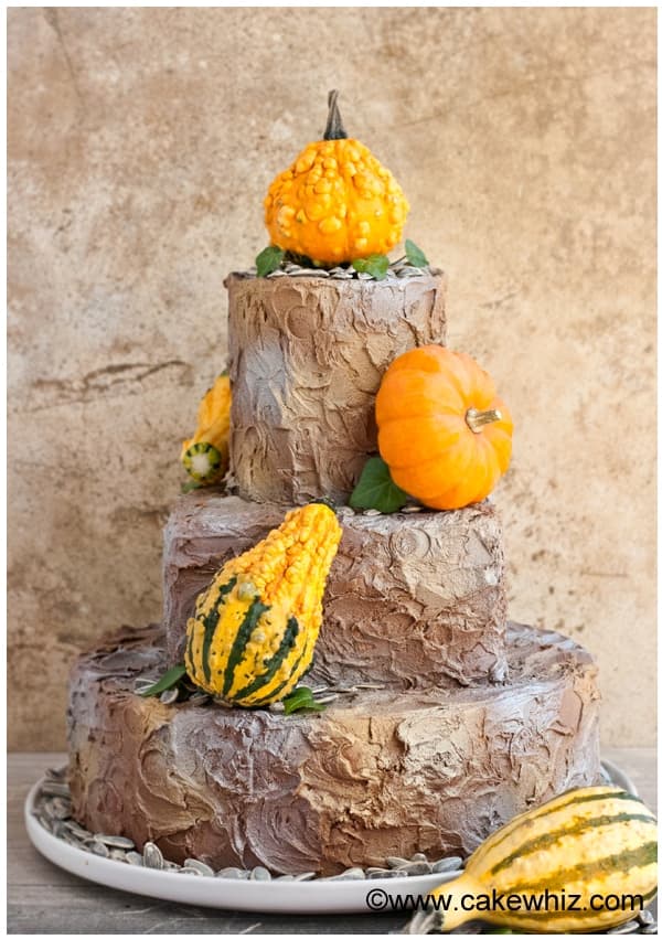Easy Rustic Cake (Tiered Cake)