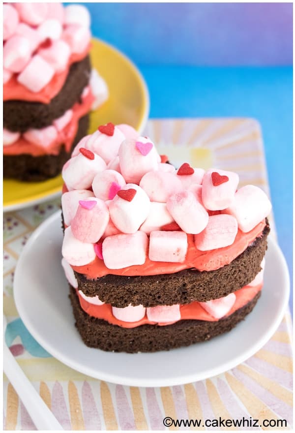 Chocolate Marshmallow Cake (Heart Cake)