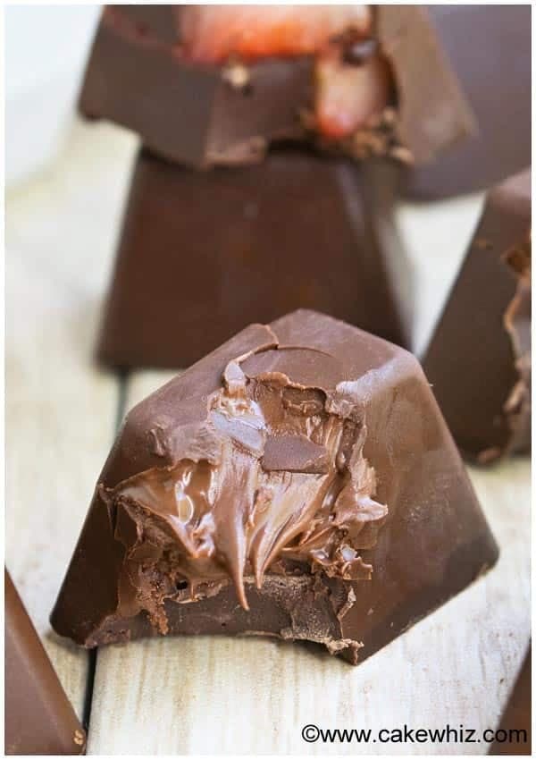 Homemade Gourmet Chocolate (Ice Cube Candy)