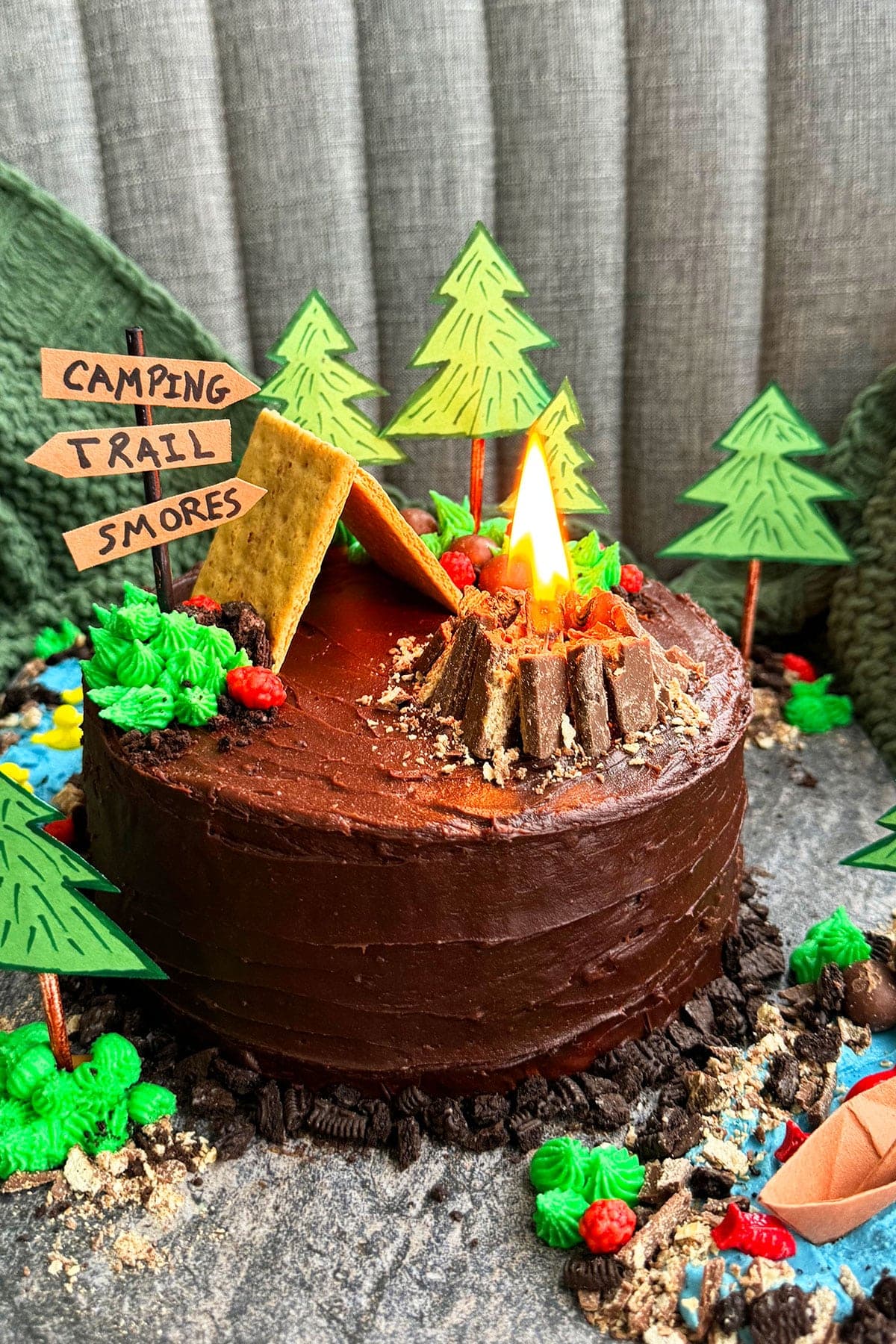 Easy Camping Cake (With Real Campfire)