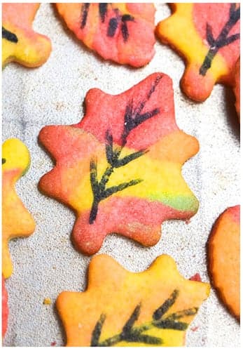 Easy Fall Cookies (Leaf Cookies)