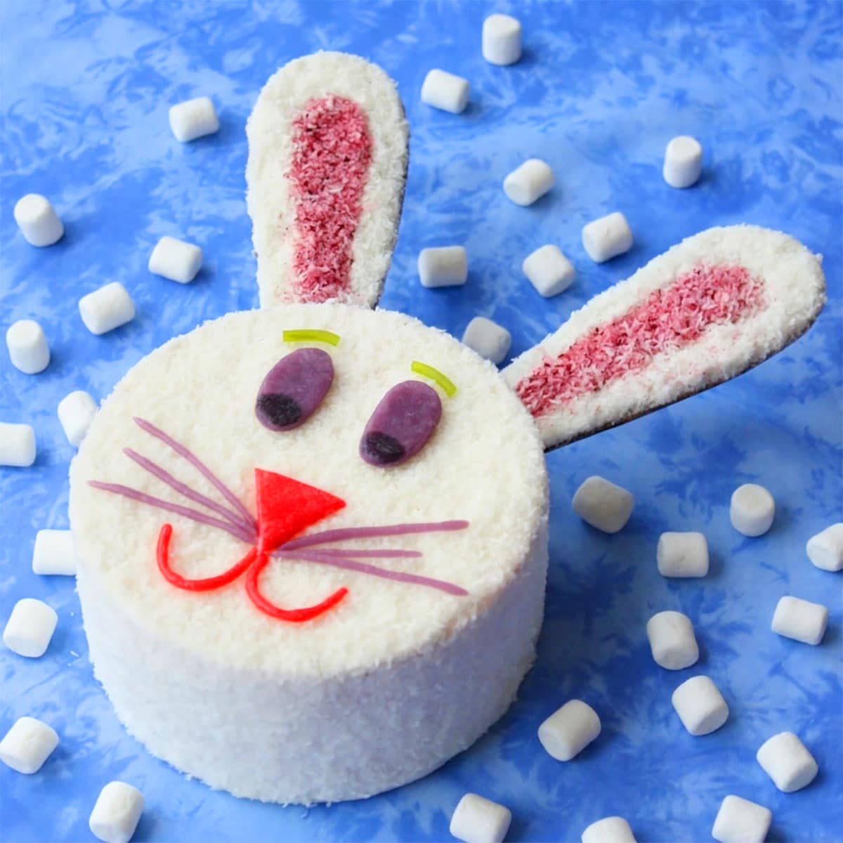 Easy Easter Bunny Cake