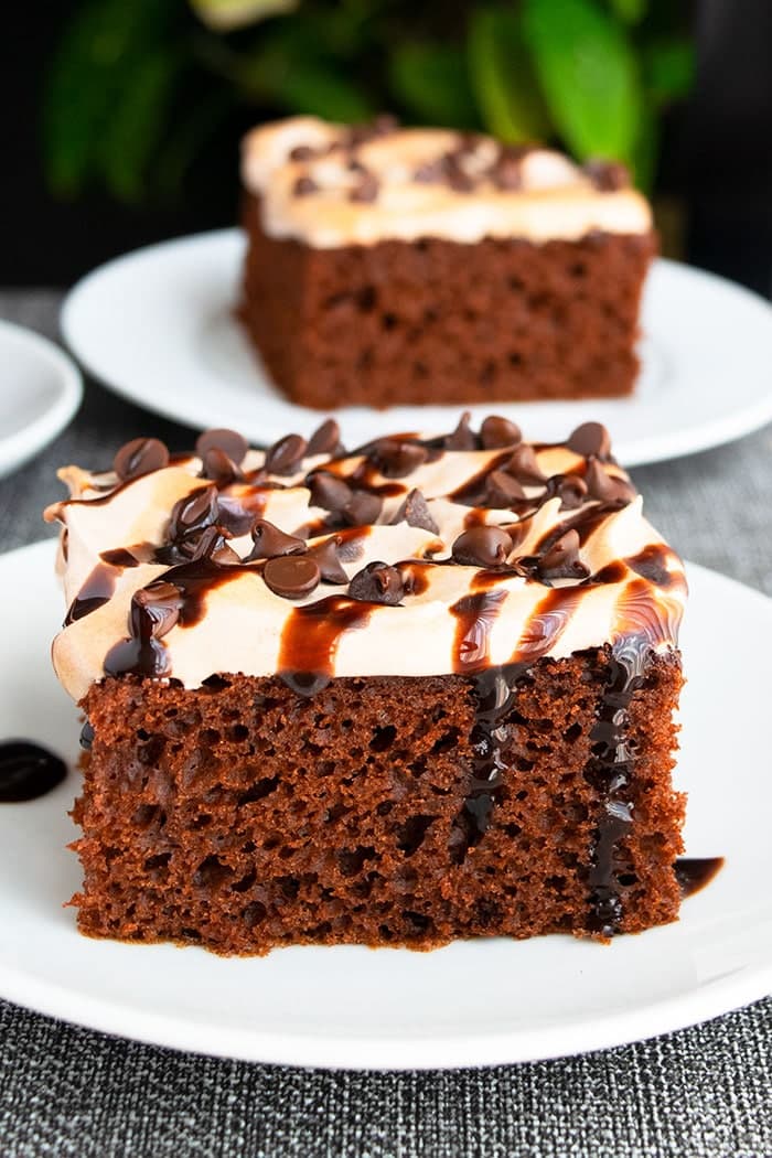 Mexican Chocolate Cake (With Cake Mix)