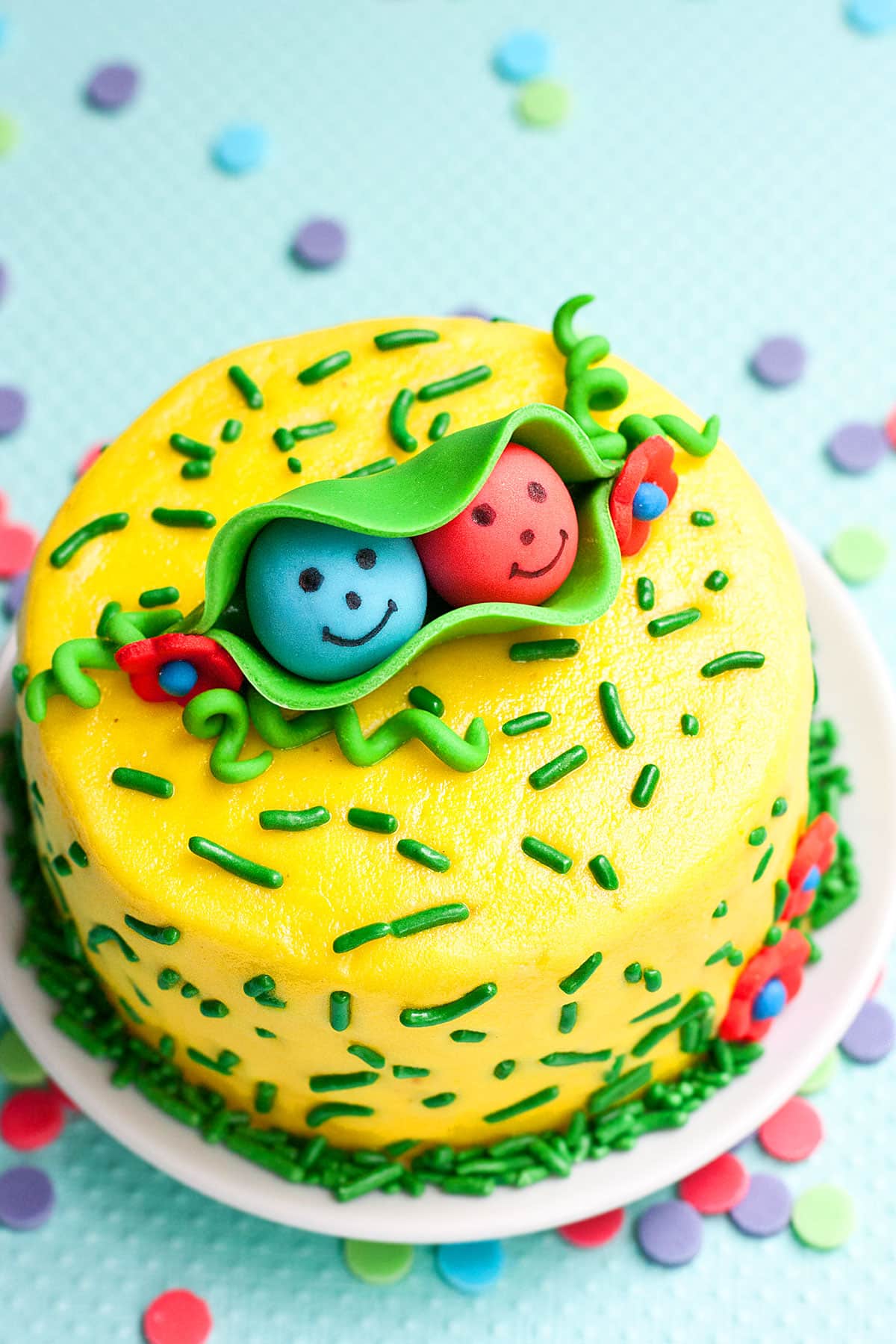 Easy Twins Birthday Cake