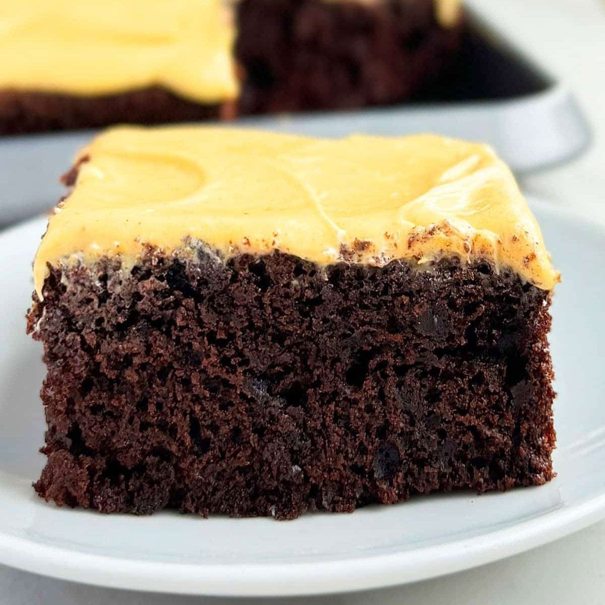 Easy Chocolate Pumpkin Cake (From Scratch)