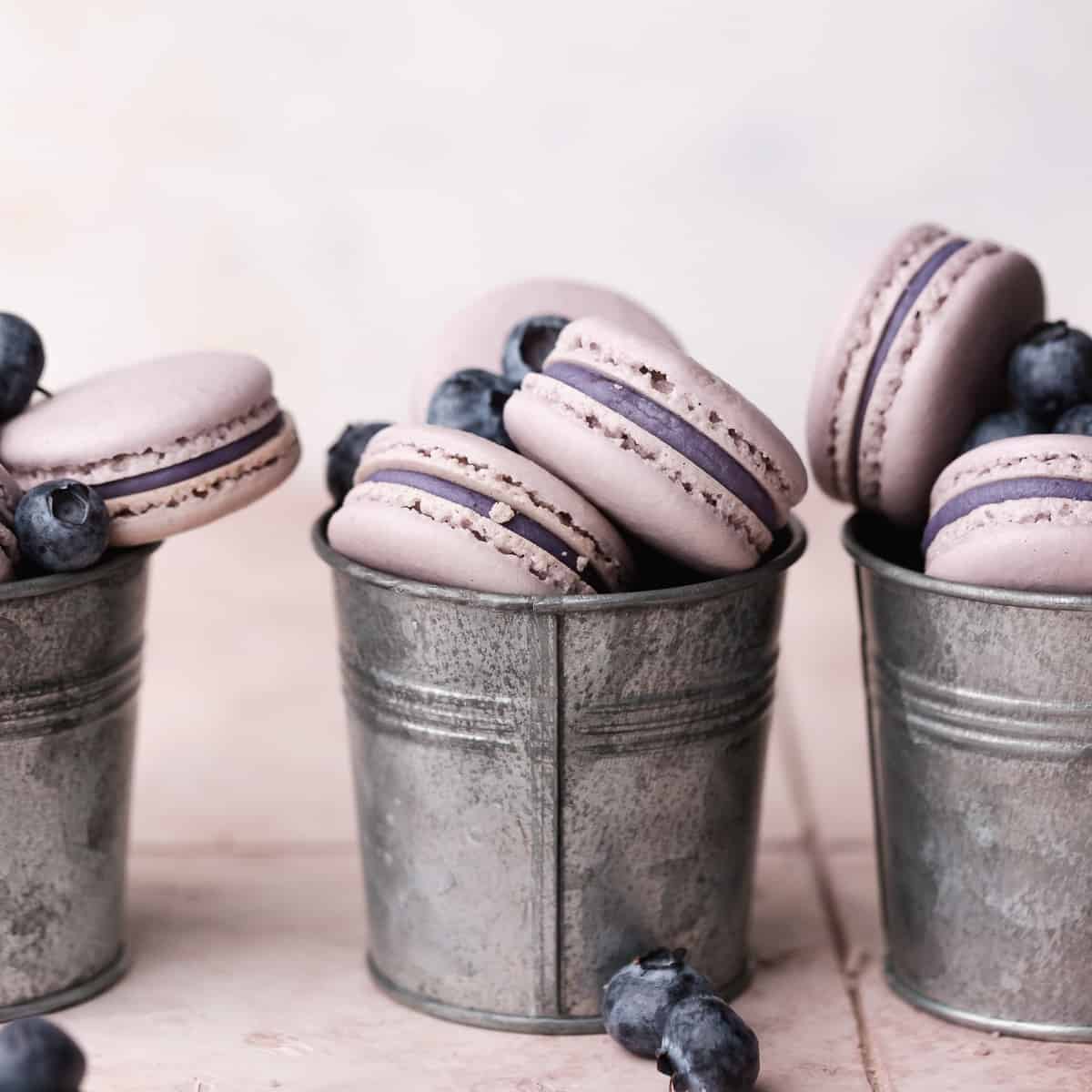 Blueberry Macaron Recipe