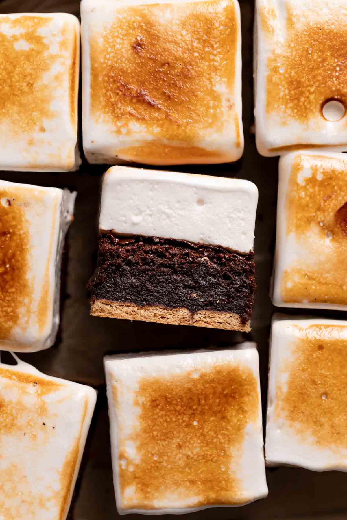 Fudgy S'mores Brownies