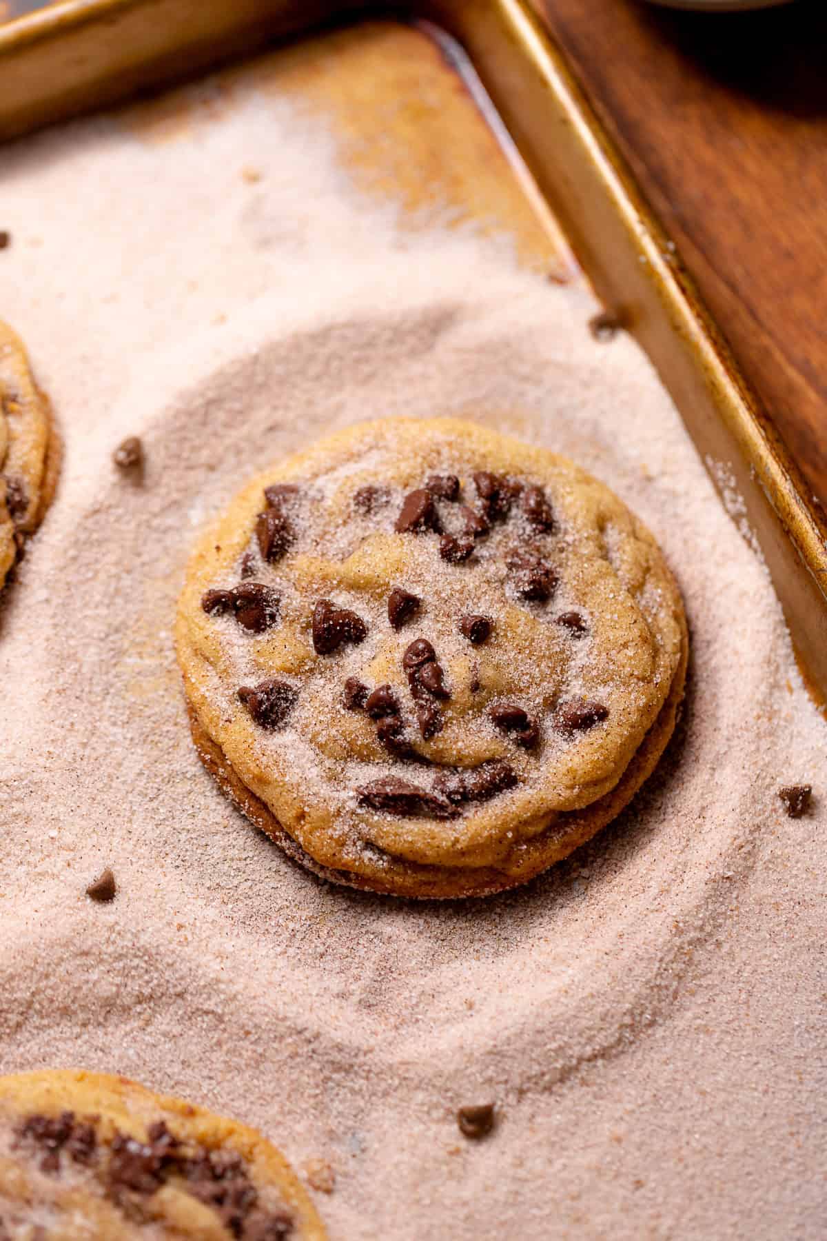 Chocolate Chip Snickerdoodle Cookies