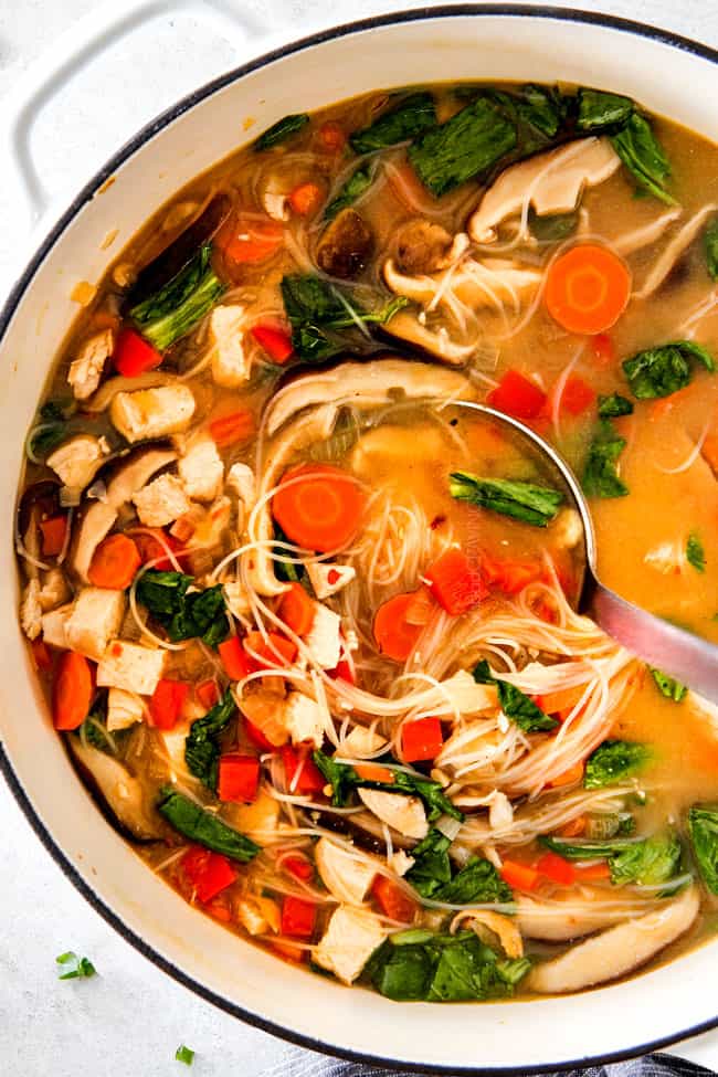 Miso Soup Recipe (with Chicken, Noodles, Shiitake Mushrooms)
